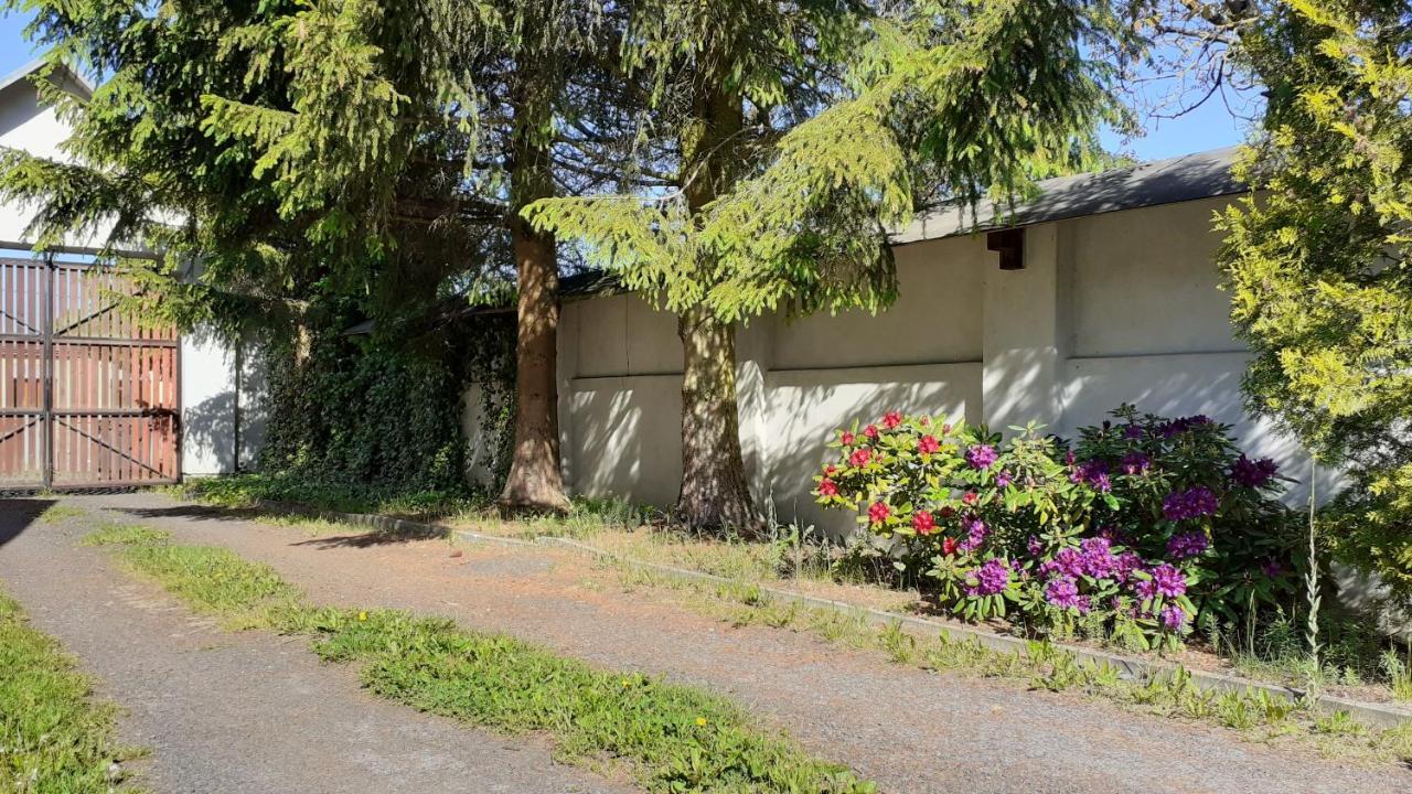 RESORT CHŘIBSKÁ Apartmány Adri Kültér fotó