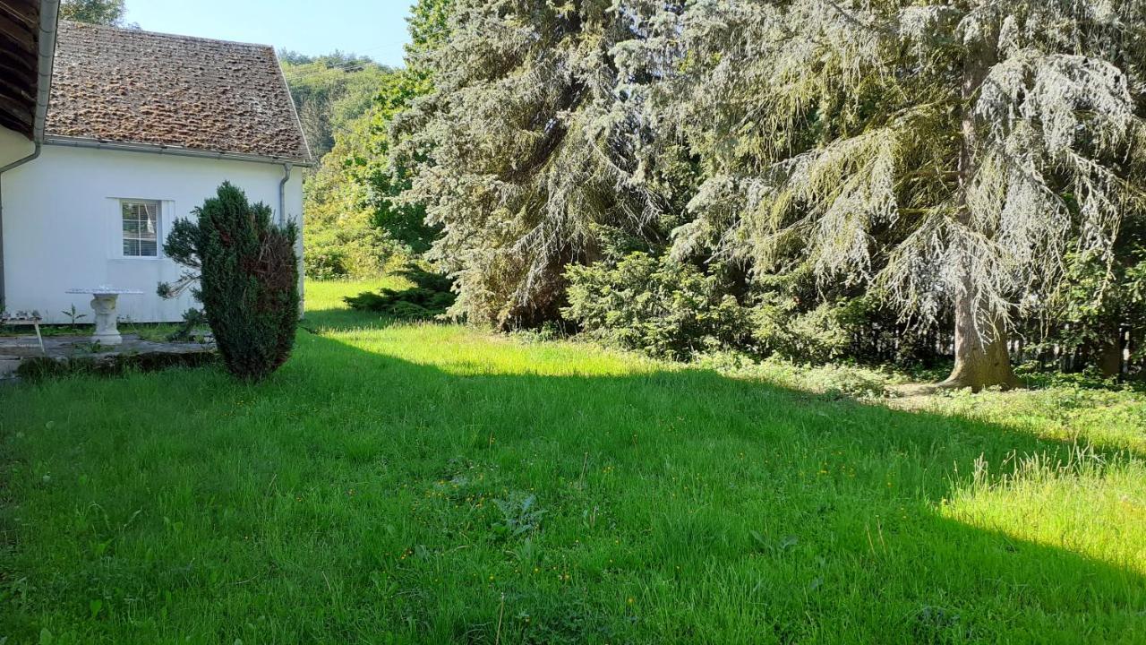 RESORT CHŘIBSKÁ Apartmány Adri Kültér fotó
