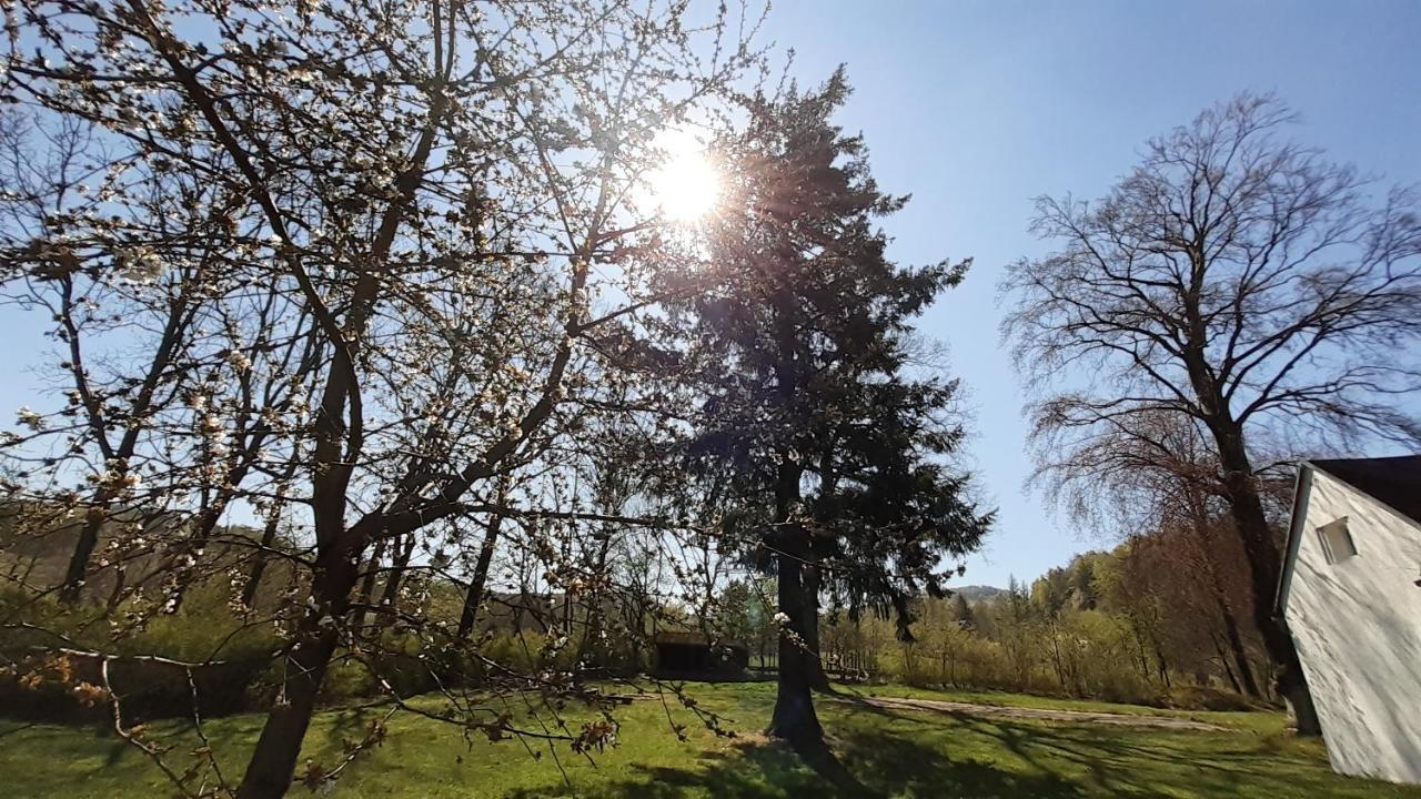 RESORT CHŘIBSKÁ Apartmány Adri Kültér fotó